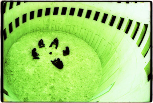 The Recycling Entertainment System